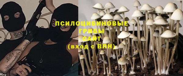 мескалин Осинники