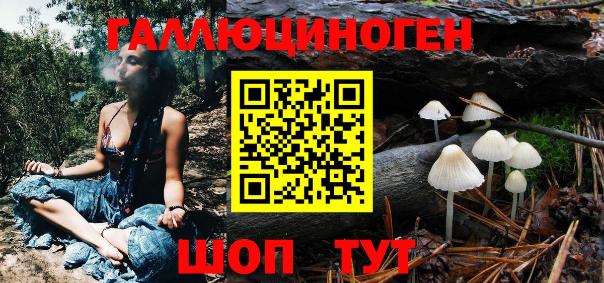 Псилоцибиновые грибы Psilocybine cubensis  Вход с VPN  Муравленко  Галлюциногенные грибы Psilocybe 
