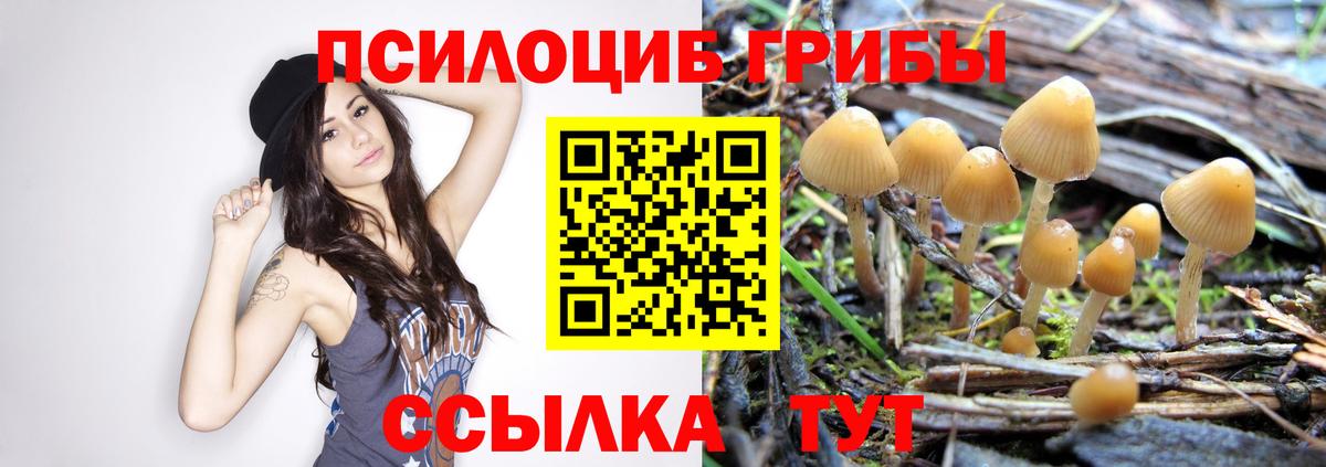 Псилоцибиновые грибы MAGIC MUSHROOMS Муравленко