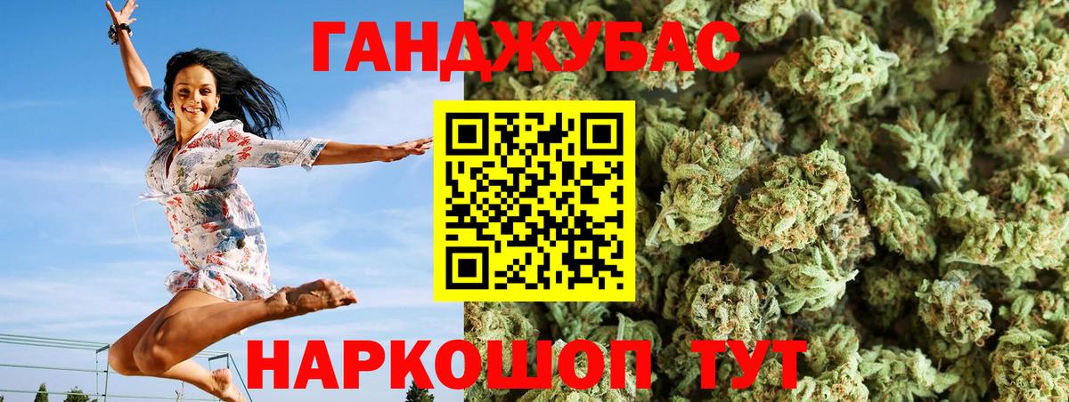 МАРИХУАНА сатива Муравленко